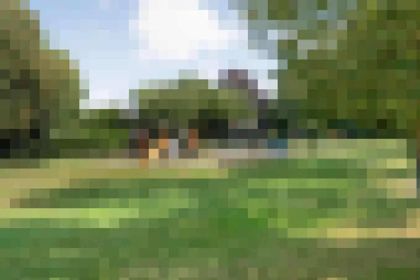 Ekster 46 Raalte thumbnail 6
