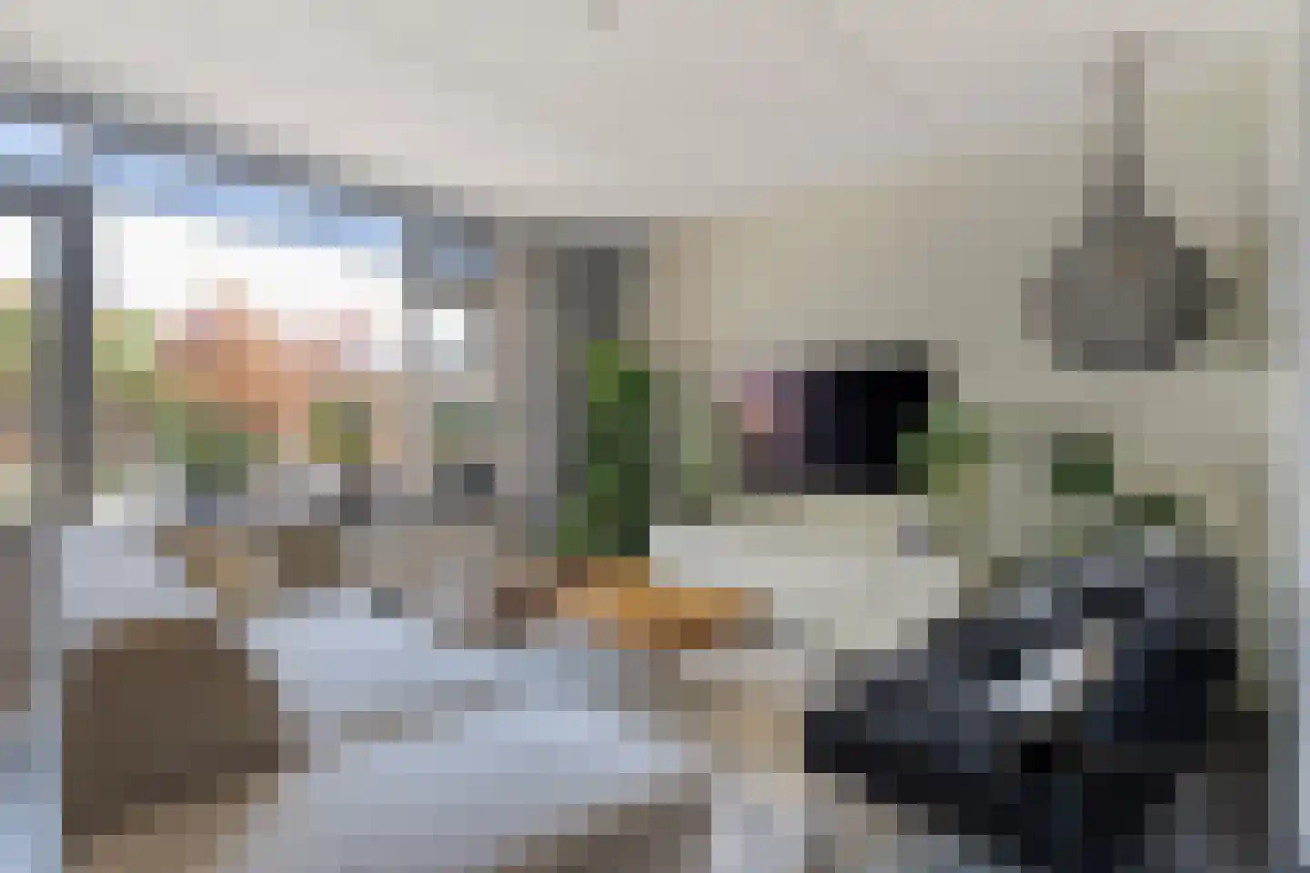 Ekster 46 Raalte thumbnail 7