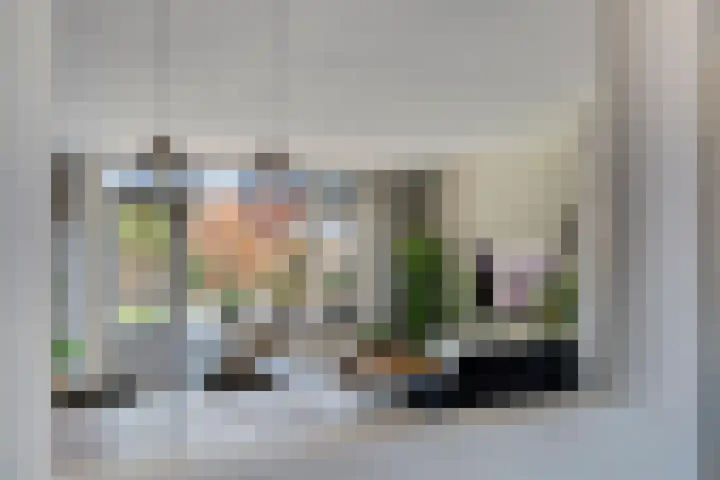 Ekster 46 Raalte thumbnail 8