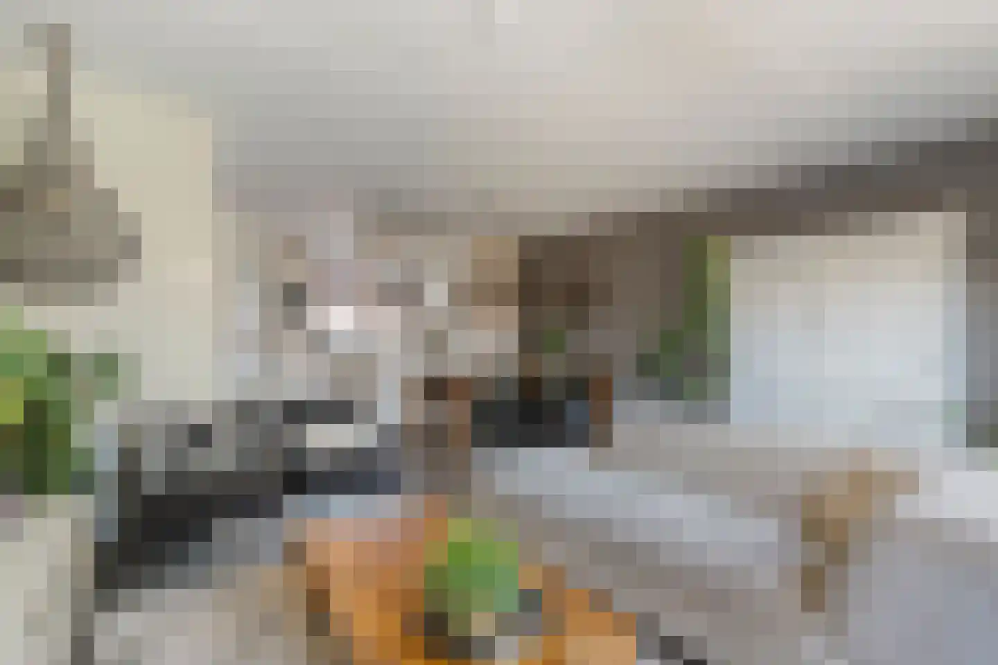 Ekster 46 Raalte thumbnail 9