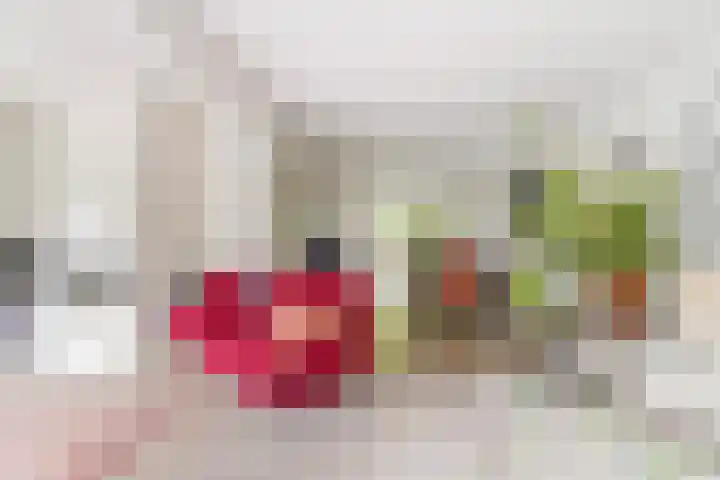 Ekster 5 Sprang-Capelle thumbnail 11