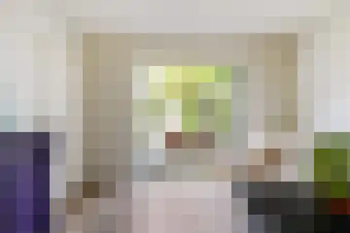 Ekster 5 Sprang-Capelle thumbnail 14