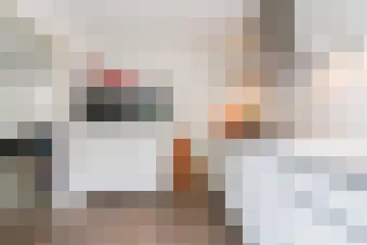 Ekster 5 Sprang-Capelle thumbnail 16