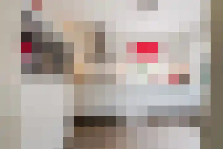 Ekster 5 Sprang-Capelle thumbnail 17