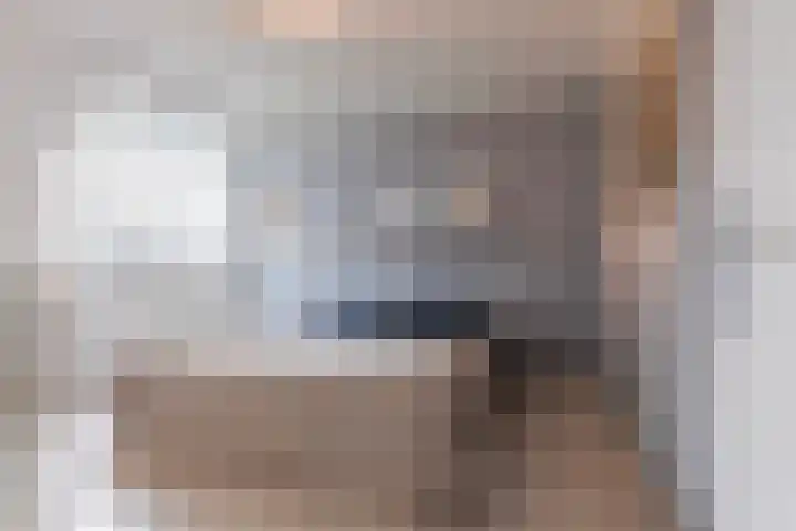 Ekster 5 Sprang-Capelle thumbnail 20
