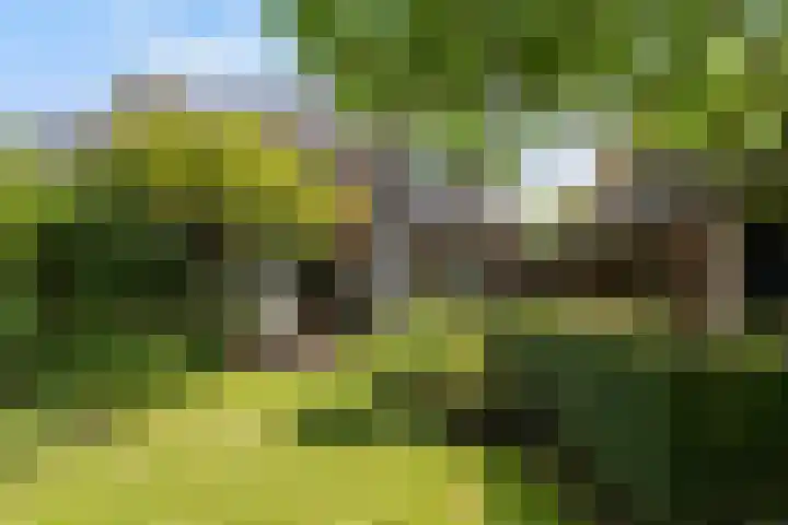 Ekster 5 Sprang-Capelle thumbnail 32