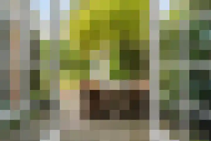 Ekster 5 Sprang-Capelle thumbnail 33