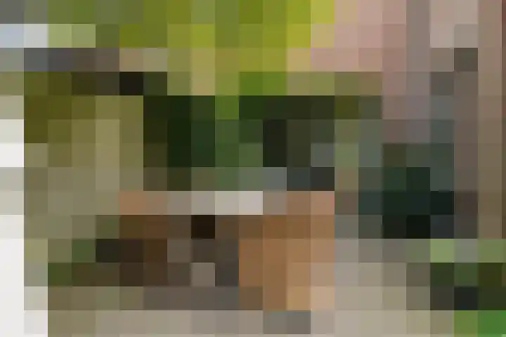 Ekster 5 Sprang-Capelle thumbnail 34