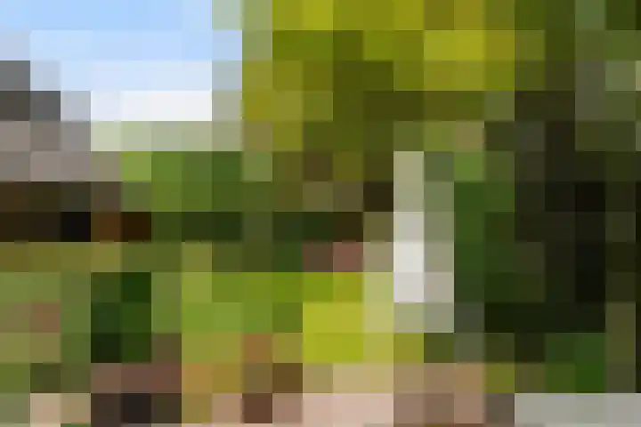 Ekster 5 Sprang-Capelle thumbnail 35
