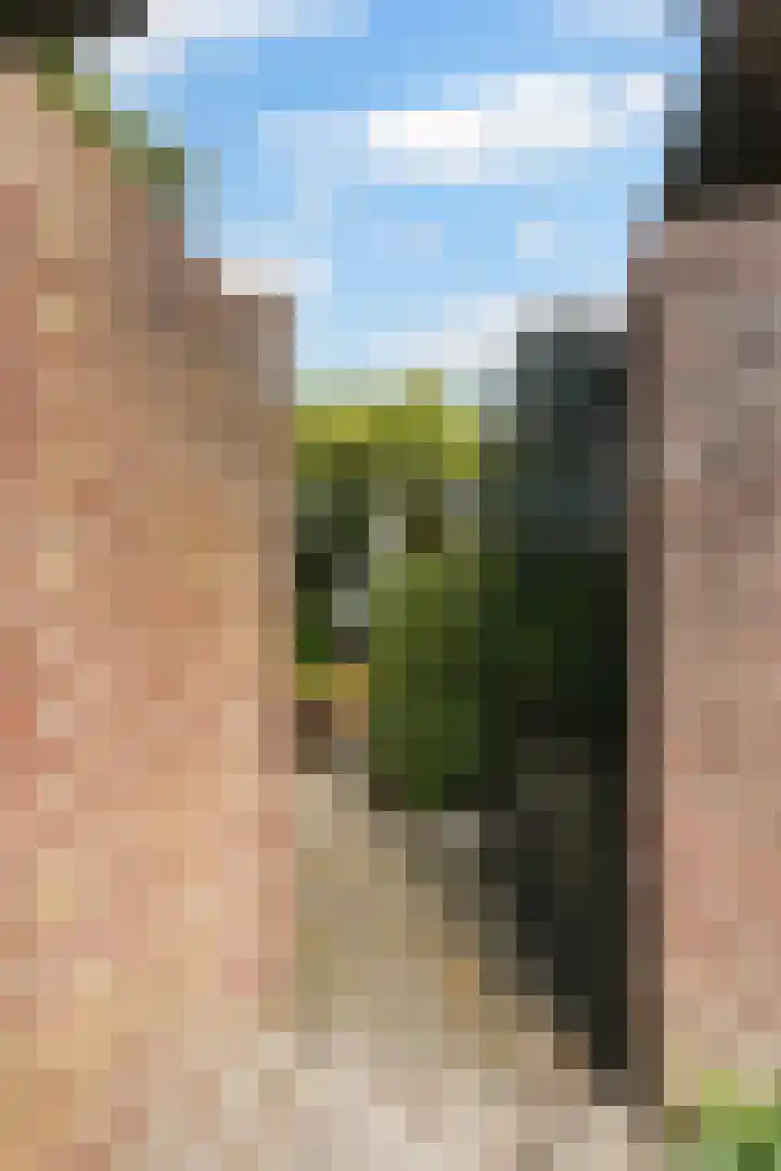 Ekster 5 Sprang-Capelle thumbnail 38