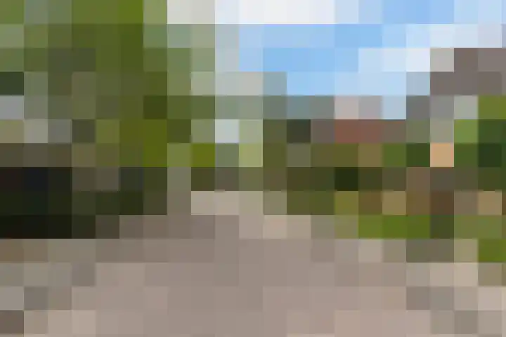 Ekster 5 Sprang-Capelle thumbnail 39
