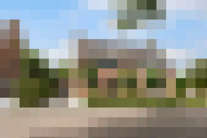 Ekster 5 Sprang-Capelle thumbnail 4