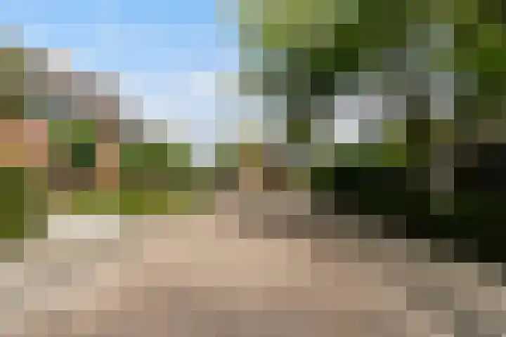 Ekster 5 Sprang-Capelle thumbnail 40