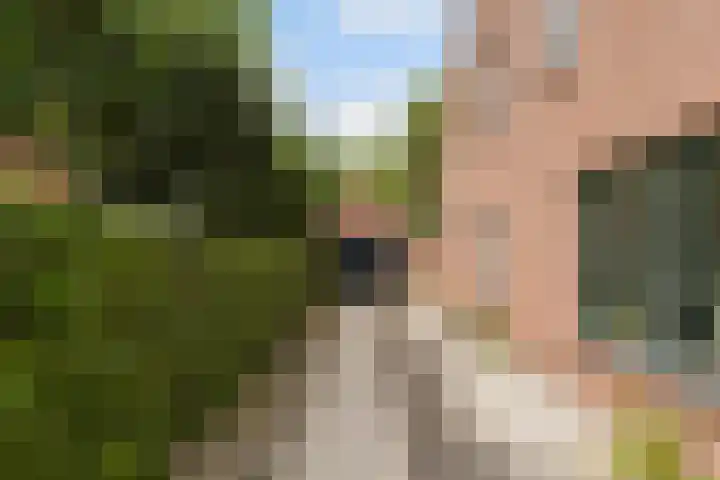 Ekster 5 Sprang-Capelle thumbnail 5