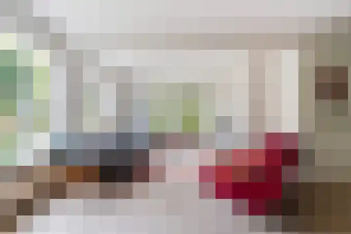 Ekster 5 Sprang-Capelle thumbnail 7