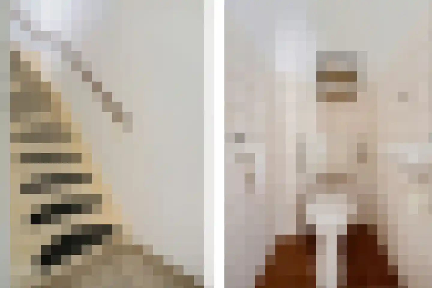 Ekster 69 Hoorn thumbnail 10