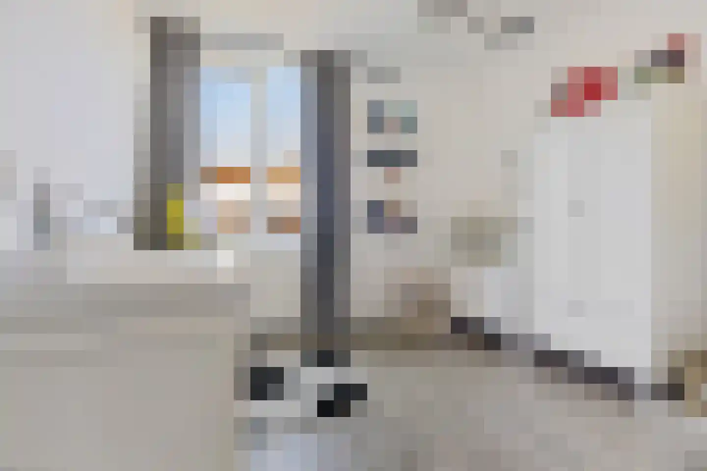 Ekster 69 Hoorn thumbnail 11