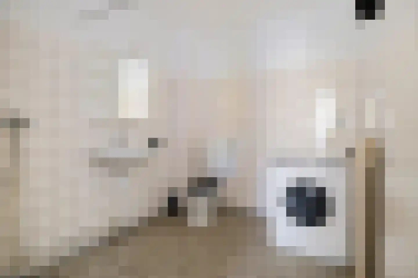 Ekster 69 Hoorn thumbnail 14