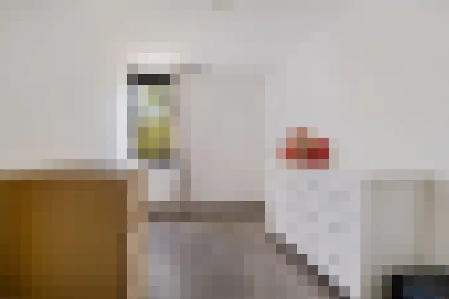 Ekster 69 Hoorn thumbnail 15