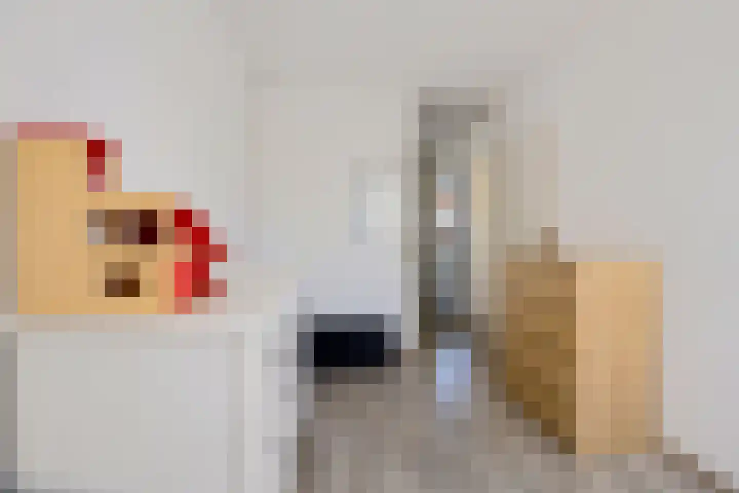 Ekster 69 Hoorn thumbnail 16