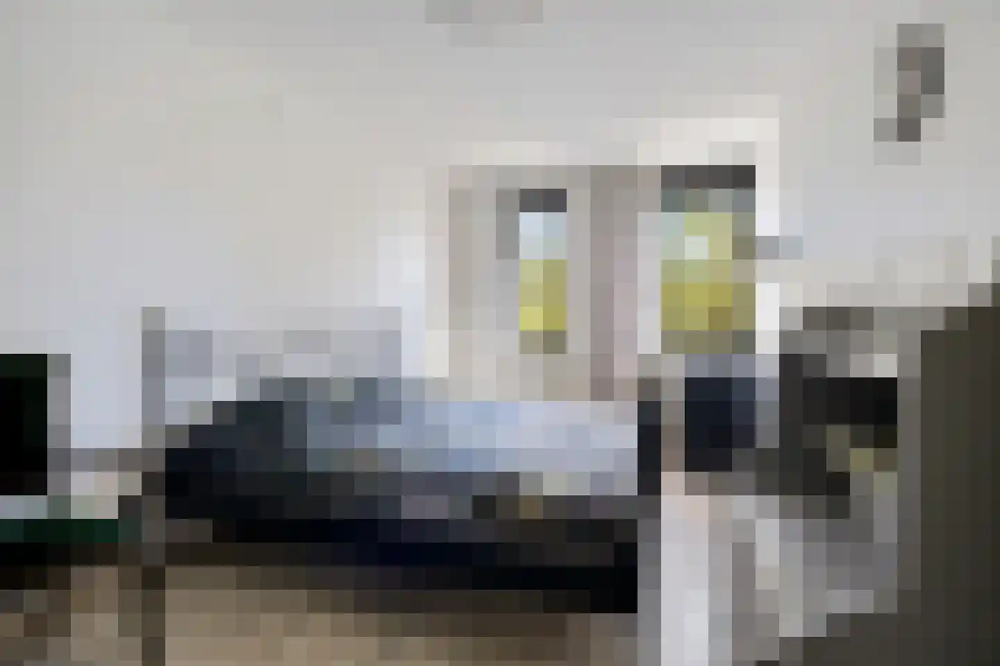 Ekster 69 Hoorn thumbnail 17