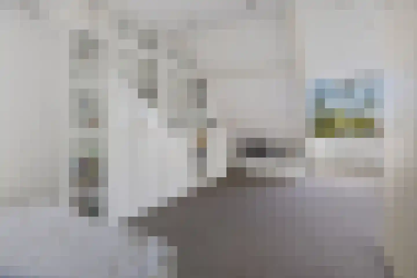 Ekster 69 Hoorn thumbnail 19