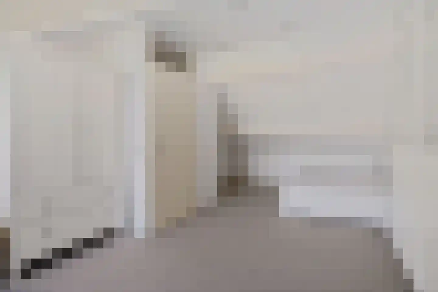 Ekster 69 Hoorn thumbnail 20
