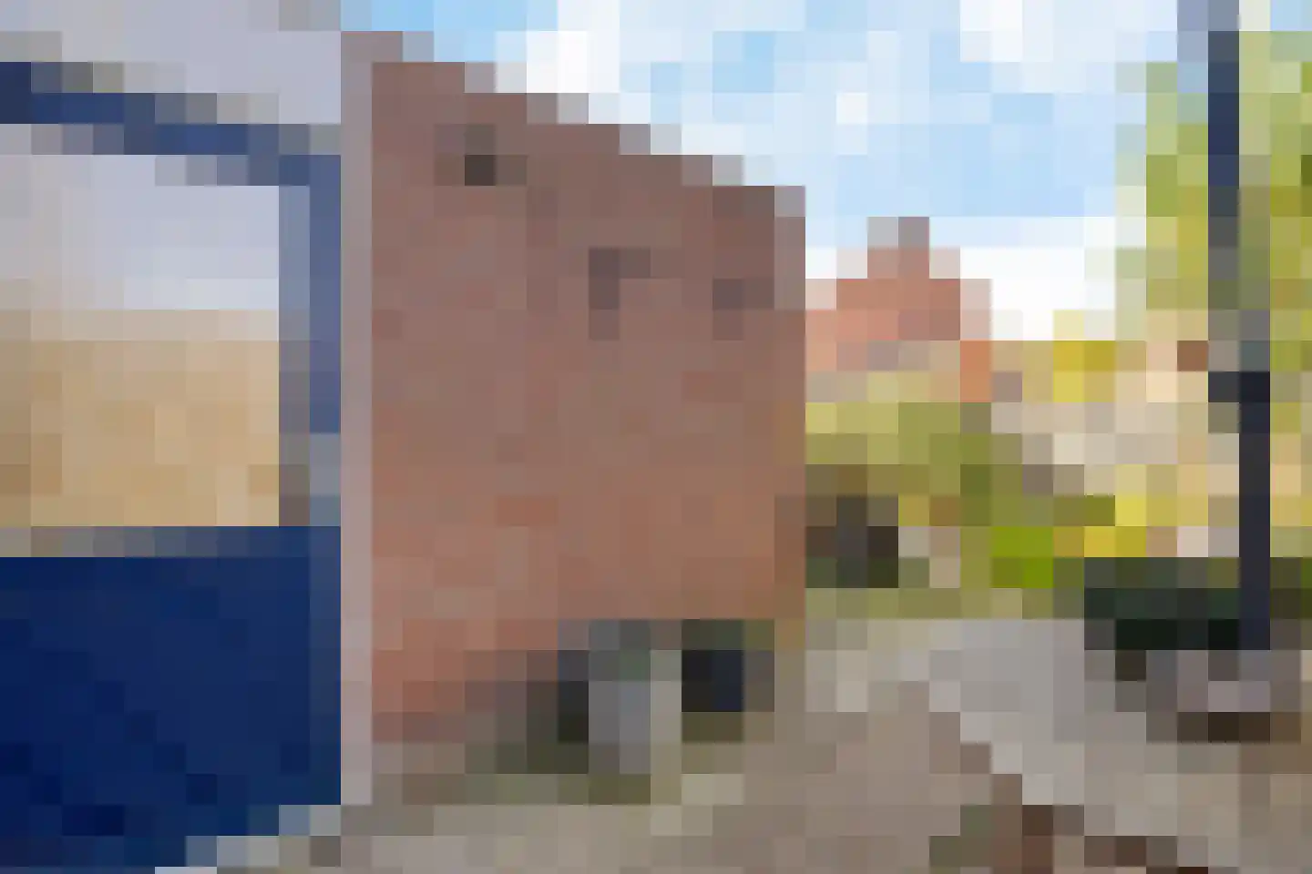 Ekster 69 Hoorn thumbnail 23
