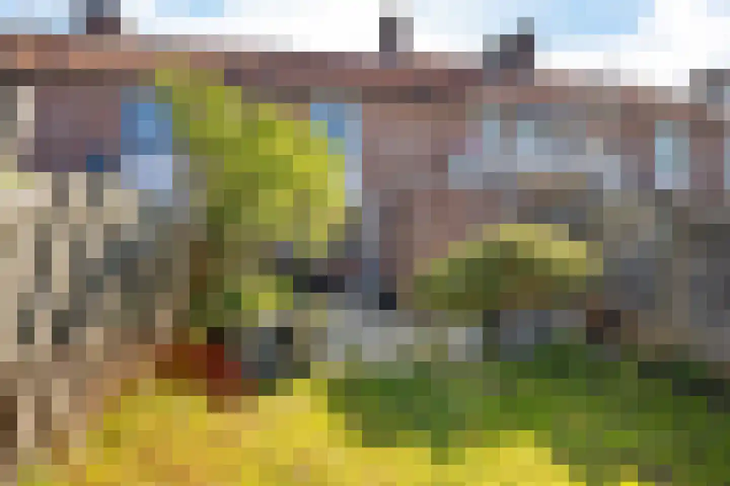 Ekster 69 Hoorn thumbnail 25