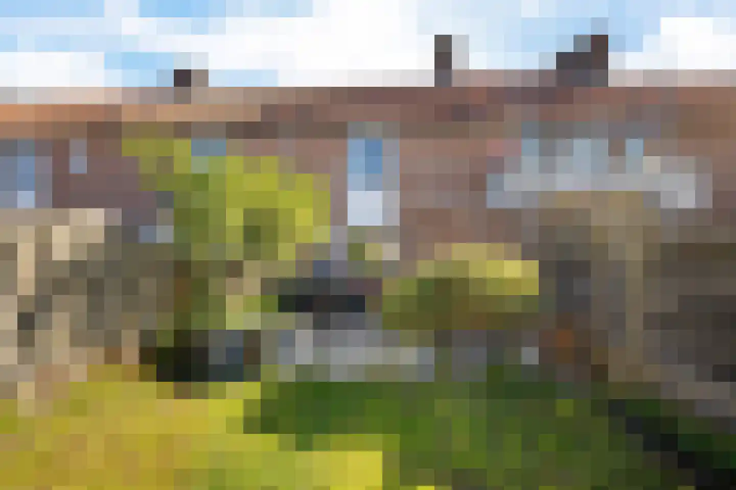 Ekster 69 Hoorn thumbnail 26