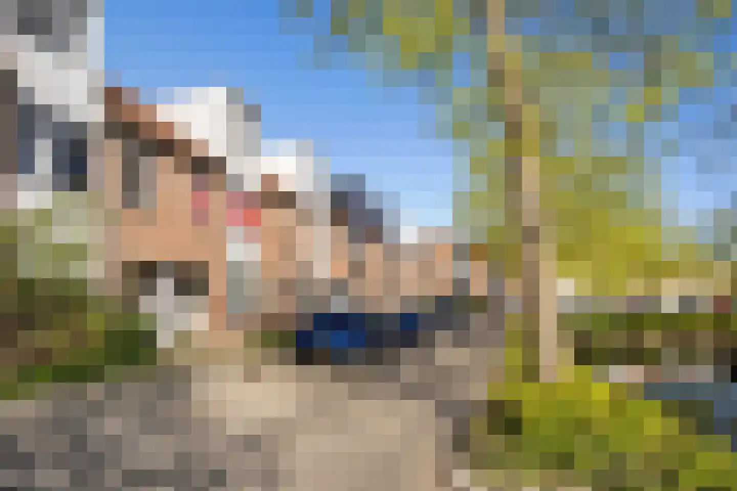 Ekster 69 Hoorn thumbnail 29