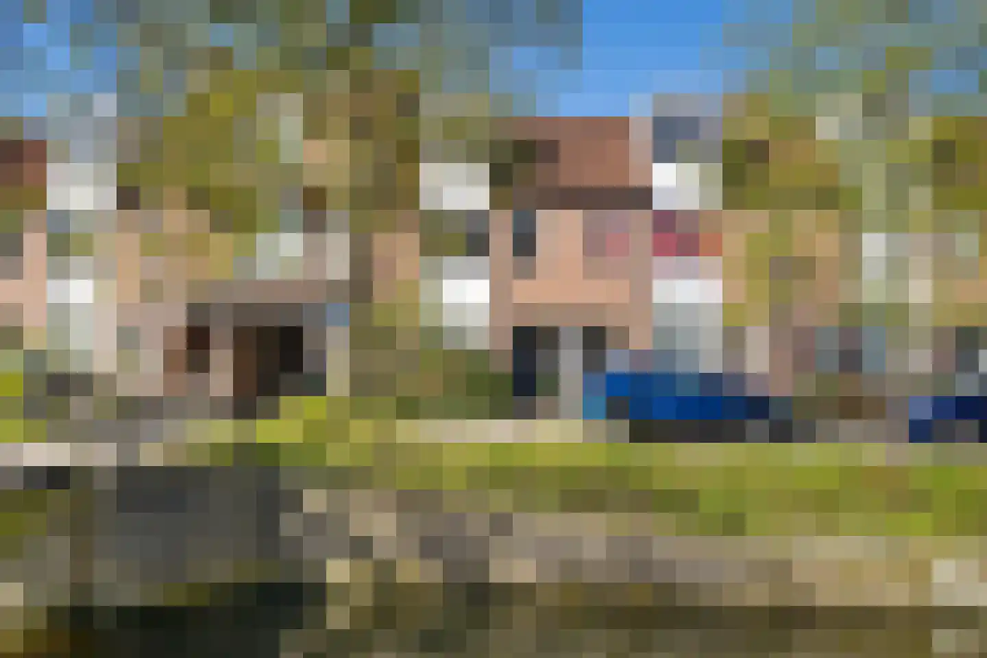 Ekster 69 Hoorn thumbnail 30