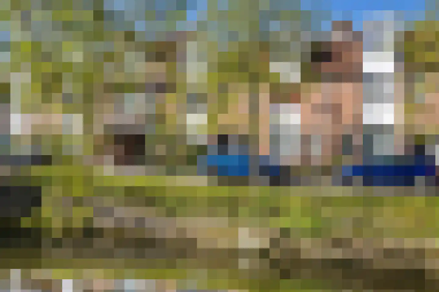 Ekster 69 Hoorn thumbnail 31
