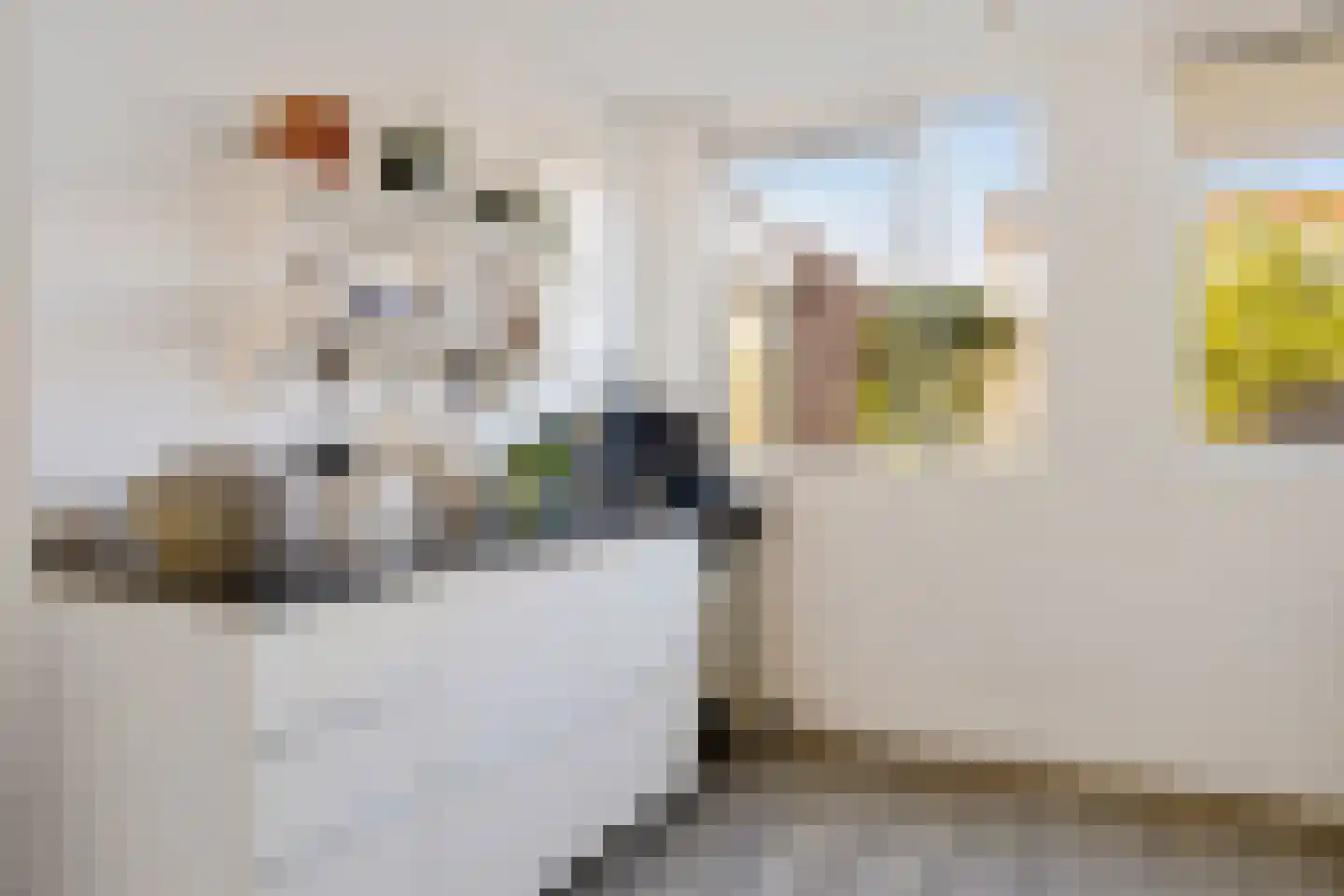 Ekster 69 Hoorn thumbnail 4