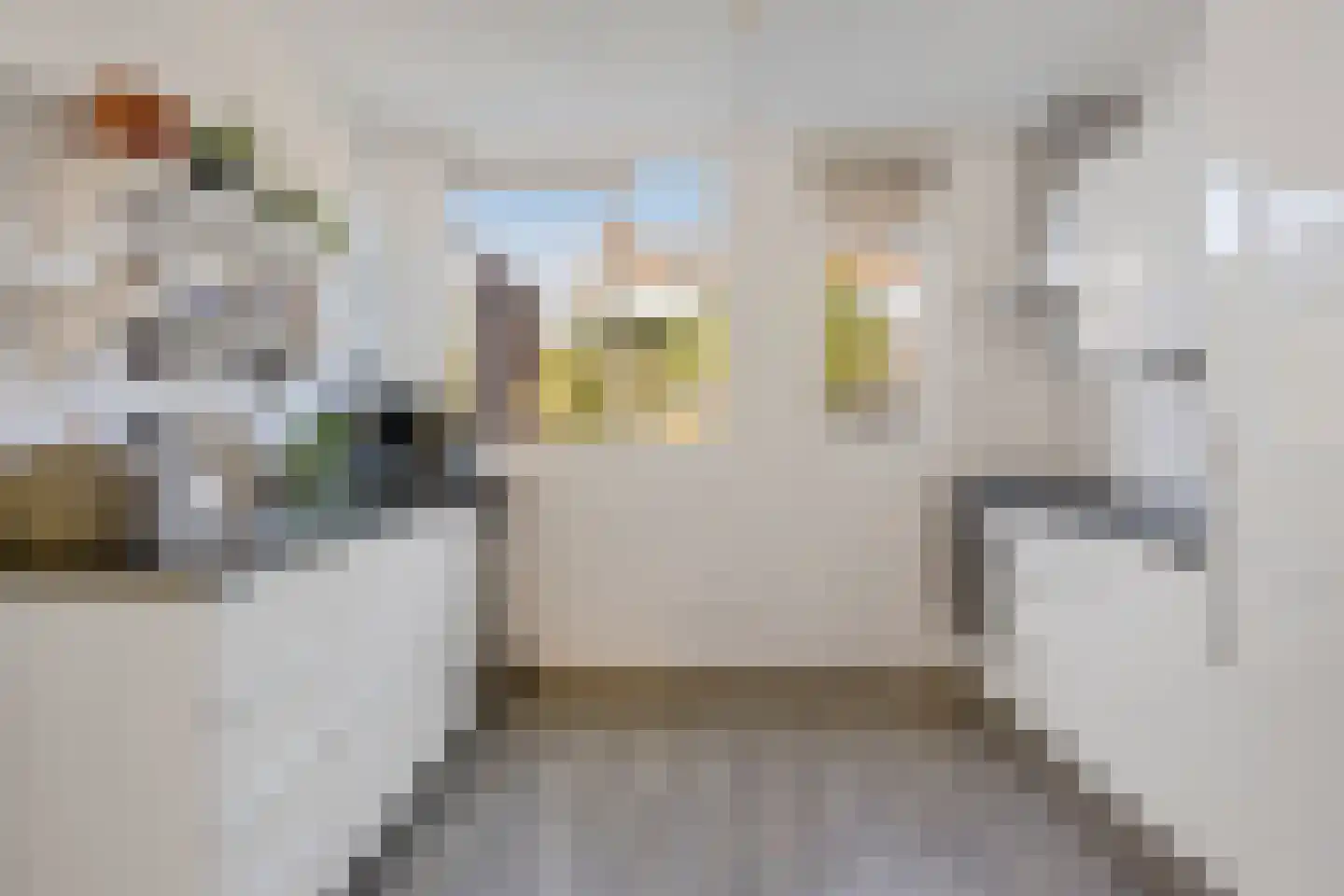 Ekster 69 Hoorn thumbnail 5