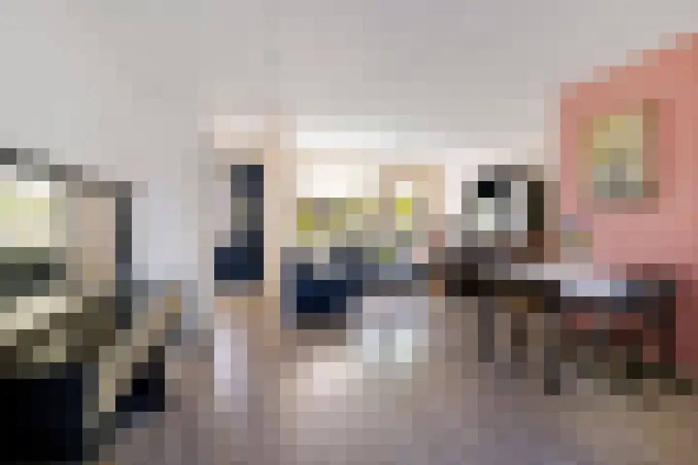 Ekster 69 Hoorn thumbnail 6