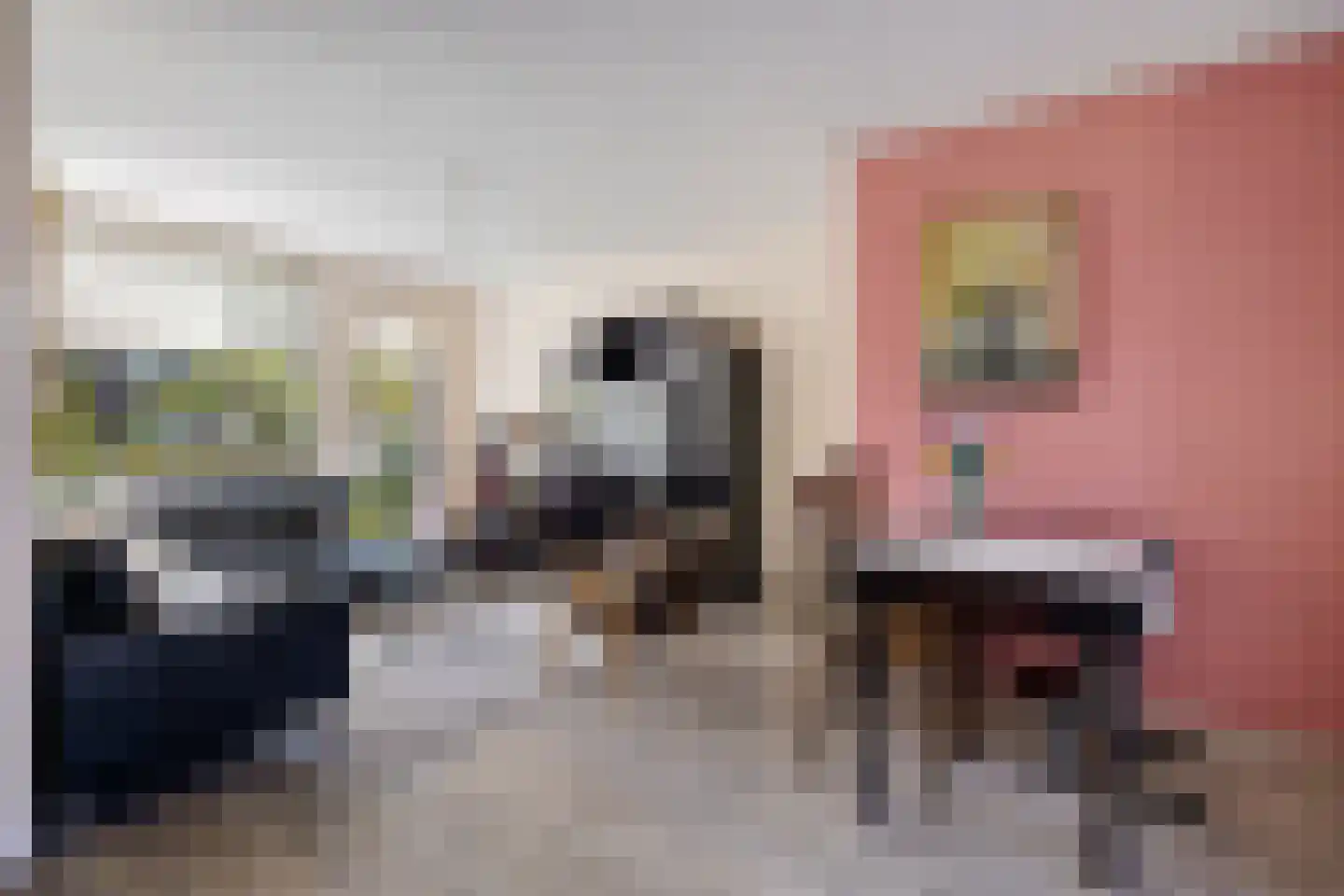 Ekster 69 Hoorn thumbnail 7