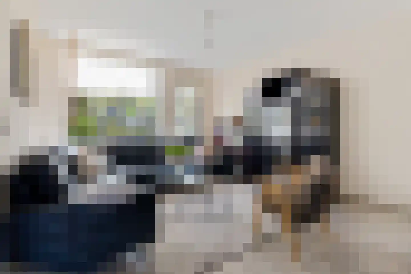 Ekster 69 Hoorn thumbnail 8