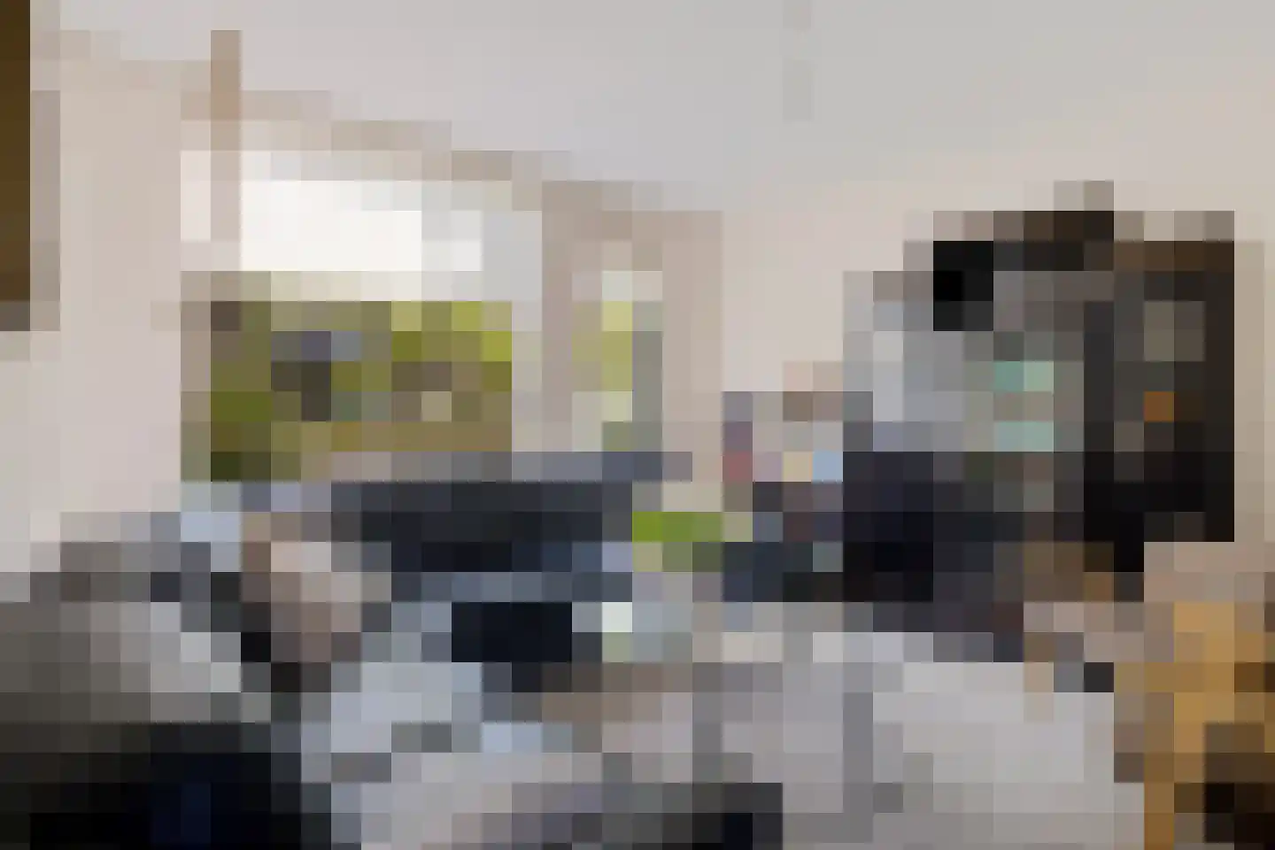 Ekster 69 Hoorn thumbnail 9