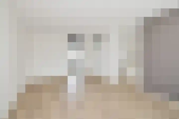Ekster 82 Hoorn thumbnail 11