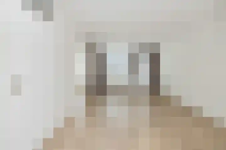 Ekster 82 Hoorn thumbnail 12