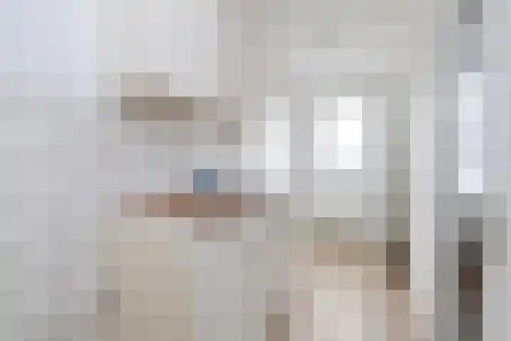 Ekster 82 Hoorn thumbnail 17