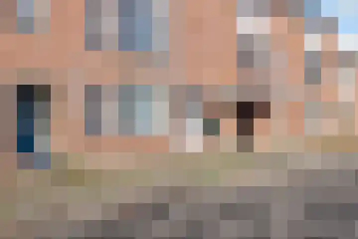 Ekster 82 Hoorn foto 3