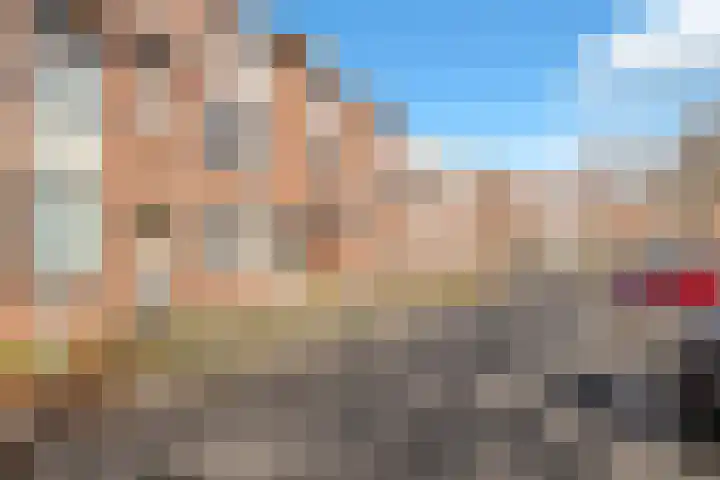 Ekster 82 Hoorn thumbnail 4