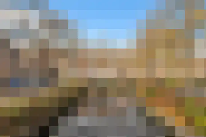 Ekster 82 Hoorn thumbnail 5