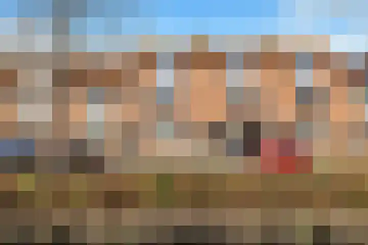 Ekster 82 Hoorn thumbnail 6