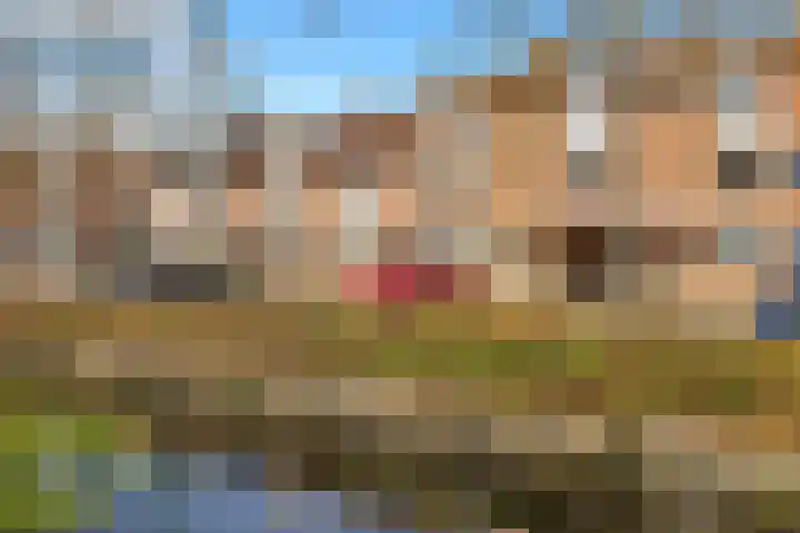 Ekster 82 Hoorn thumbnail 7