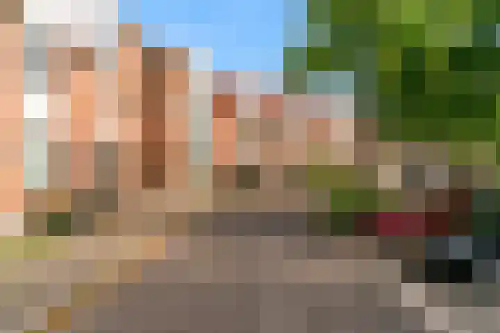 Ekster 90 Hoorn thumbnail 11