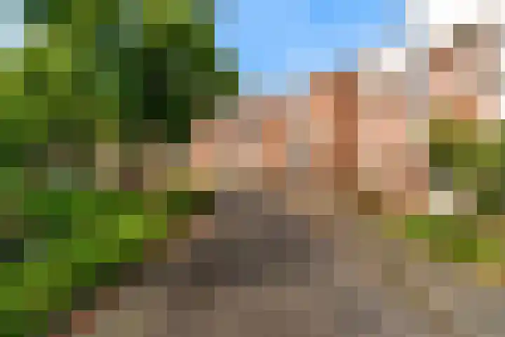 Ekster 90 Hoorn thumbnail 12