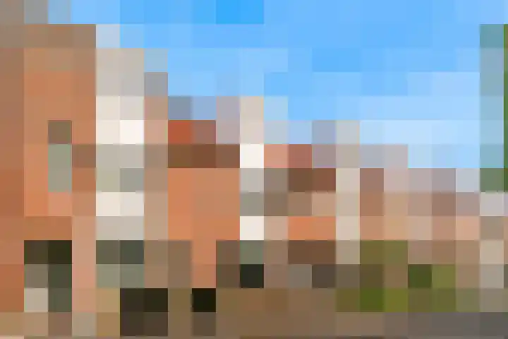 Ekster 90 Hoorn thumbnail 13